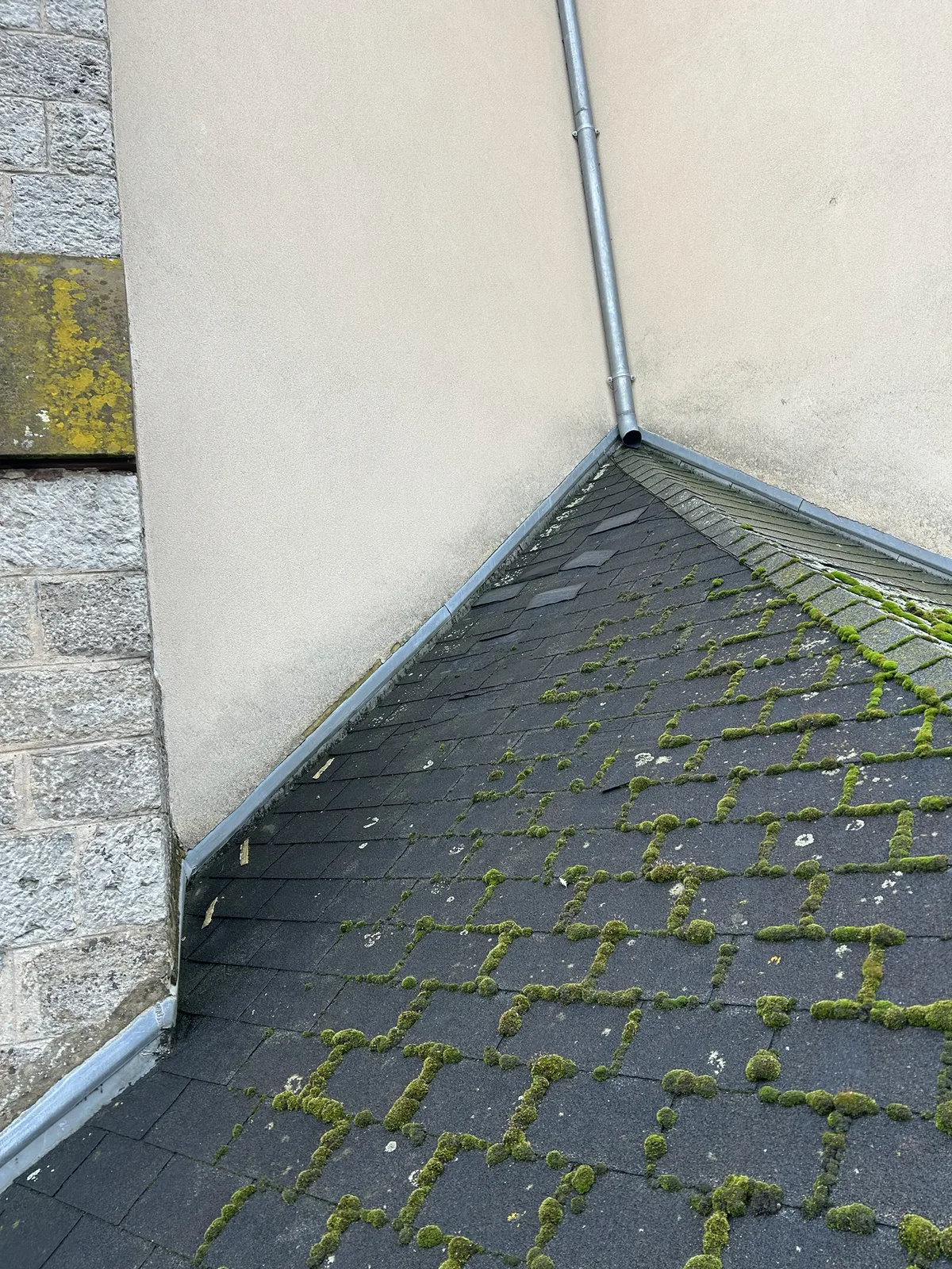 Rénovation d'une toiture d'église en Shingle à Réning - photo 2 - Réning